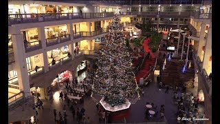 Sapporo Factory Under jumbo Christmas tree lighting [upl. by Wheaton]