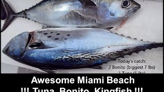 Fishing Adventures 73  Awesome Miami Beach Trolling for Bonito Kingfish and Blackfin Tuna [upl. by Ramyar741]