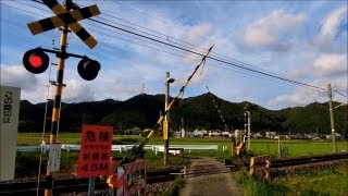 踏み切り Railway Crossing in Japan [upl. by Myles]