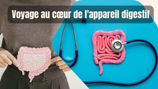 L’Appareil Urinaire et Digestif Pilliers de la Santé [upl. by Sone]