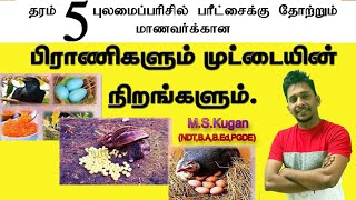 பிராணிகளின் முட்டையின் நிறங்கள் தரம் 345Yarl Master [upl. by Lothar]