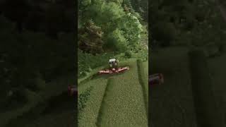 30 mähen ls22 fs22 timelapse landwirtschaft landwirtschaftssimulator22 farming pallegney [upl. by Allana]