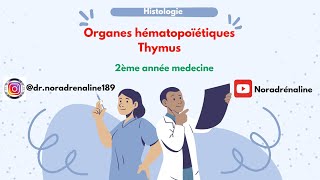 thymus histologie 2ème année medecine شرح بالدارجة و الرسم [upl. by Theo]