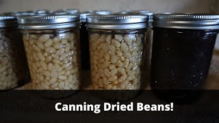 How to can dry beans 2 Methods Presoaked and NoSoak [upl. by Dahaf]