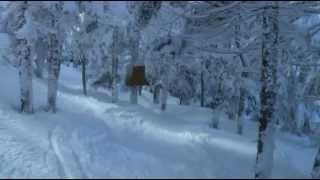 The secret path to Coopers Cabin aka Cooper Lodge in Killington [upl. by Danialah443]