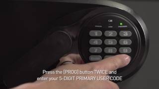 How to Program Codes on a Sentry®Safe Basic Electronic Lock Fire Safe [upl. by Yelekreb211]