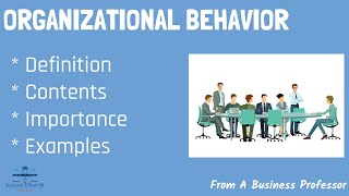 What is Organizational Behavior With Real World Examples  From A Business Professor [upl. by Egrog]