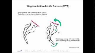 ISG Ilio Sacral Gelenk Biomechanik Manuelle Therapie Osteopathie Skript [upl. by Bain548]