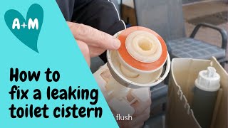 How to change toilet cistern seat washer Caroma dual flush [upl. by Ettenuj122]