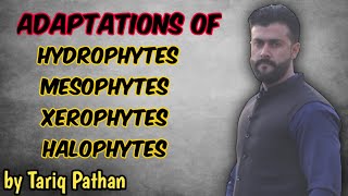 Chapter Homeostasis Hydrophytes  Mesophytes  Xerophytes  Halophytes Adaptations by Tariq Pathan [upl. by Dilahk]