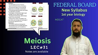 Meiosis  Stage of meiosis  Significance of meiosis  class 11 [upl. by Pilar136]