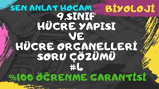 9 SINIF HÜCRE YAPISI VE HÜCRENİN ORGANELLERİ SORU ÇÖZÜMLERİ 4  TYT BİYOLOJİ  ✅ [upl. by Nickelsen]