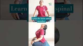 Learn the basic spinal stretches🍀shorts viralvideo stretchingexercises ytshorts [upl. by Etnauj366]