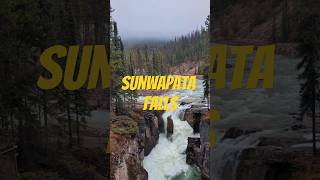 Sunwapta Falls  Jasper National Park  Alberta albertaviews mountains canadaparadise travel [upl. by Pyszka862]