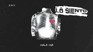 CRY  LO SIENTO Official Lyric Video [upl. by Valera]