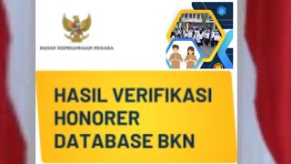 CEK DATA TENAGA HONORER HASIL VERIFIKASI PENDATAAN NON ASN DI BKN 2024 [upl. by Xet907]