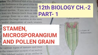 Structure of pollen grain with Important points  pollen grain  microspore [upl. by Reiniar]