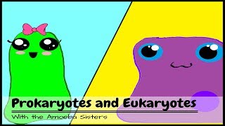 OLD VIDEO Prokaryotes and Eukaryotes [upl. by Lenz]