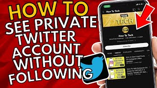 How To See Private Twitter Account Without Following Easy Guide [upl. by Budd]