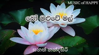 බෝ මළුවේ මල් සුවදක පැටලී  සනත් නන්දසිරි  Bo Maluwe Mal Suwadaka Patali  Sanath Nandasiri [upl. by Kasey]