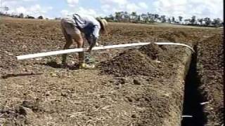 Australia Sugar cane Irrigating [upl. by Lewiss]