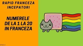 Franceza pentru incepatori2018  Numere in franceza de la 1 la 20 [upl. by Ademordna]