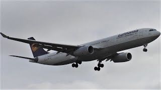 Lufthansa Airbus A330343 DAIKM LH407 Landing at Berlin Tegel Airport [upl. by Laverne]