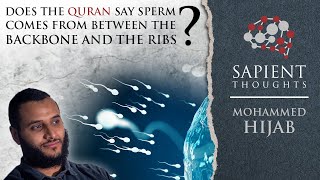 Sapient Thoughts 24 Does the Quran say sperm comes from between the backbone amp the ribs  M Hijab [upl. by Micah]