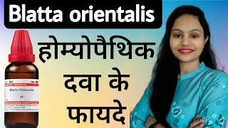 Blatta orientalis Blatta orientalis Homeopathic medicine Blatta orientalis mother tincture [upl. by Drolet]