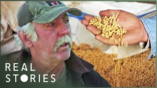 The Farmer Who Took On Monsanto David Vs Goliath Documentary  Real Stories [upl. by Nauwtna615]