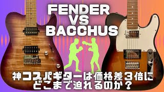 Fender Player Series VS Bacchus Universe Series 価格差３倍のギターを弾き比べしてみた！ [upl. by Yleak]