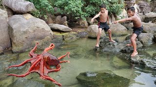 Wilderness Food  Found Octopus at the Beach [upl. by Schnur]