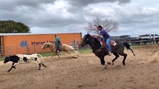 BEST Team Roping Videos of 2021 [upl. by Nael]