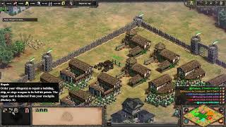 Celtic Assault  Age of Empires 2 Definitive Edition [upl. by Takashi]