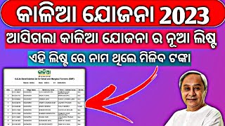 Kalia Yojana New List Odisha  Kalia Yojana New List Odisha 2023  Kalia Yojana Beneficiary List [upl. by Inattyrb823]