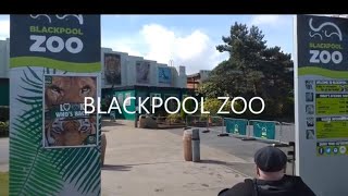 Exploring The Wonders Of Blackpool Zoo [upl. by Celik485]