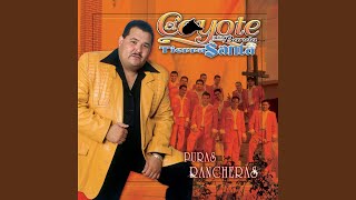 Árboles De La Barranca  Multikaraoke ► Éxito De El Coyote Y Su Banda [upl. by Wilfrid471]