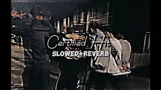 Certified Hit SlowedReverb  Tarna  Byg Byrd  Blamo  New Punjabi Songs [upl. by Alta]