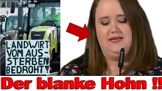 REACTION VIDEO 💥Volksverasche💥Ricarda Lang mit fetter Ansage zu Bauernprotesten [upl. by Atnas]