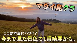 【ハワイ】義母に会いにマウイ島へ✈️ 自然と動物に囲まれた「クラ」の暮らし🐱🐶🐓🦆⛰ [upl. by Lazaro]