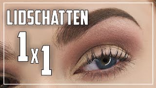 SO klappt es mit dem Lidschatten  Anfänger Guide  Lidschatten Tutorial Deutsch  Judy R [upl. by Anovad]