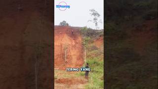 Moto trail menaklukan tebing curam trail motorbike viralvideo [upl. by Nnyleimaj]