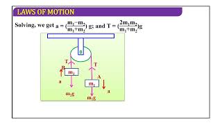 Zealously Physics Free Body Diagram Laws of motion  Class XI  PHYSICS [upl. by Jenni]