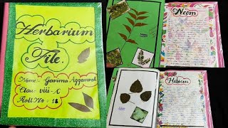 How to make Herbarium File  Science Project [upl. by Ihtak]