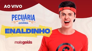 Pecuária de Goiânia 2024  Enaldinho AO VIVO [upl. by Torruella]