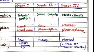 Breast Carcinoma Grading And Staging  Breast Cancer Pathology Part 06 [upl. by Thorfinn]