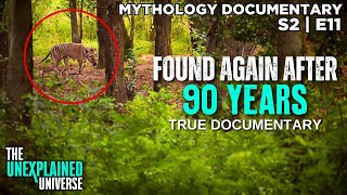 The Tasmanian Tiger Is NOT Extinct  Thylacine  Mythology Documentary  Boogeymen  S2E11 [upl. by Auqenwahs817]