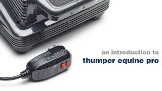 An introduction to Thumper Equine Pro  Strong and Powerful Deep Tissue Massager for Horses [upl. by Danzig]