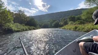 Fly Fishing the Catskill Mountains [upl. by Cybil]