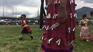 Tiny Tots Taos Powwow [upl. by Fairley421]